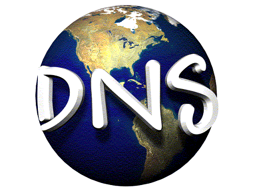 DNS_Logo
